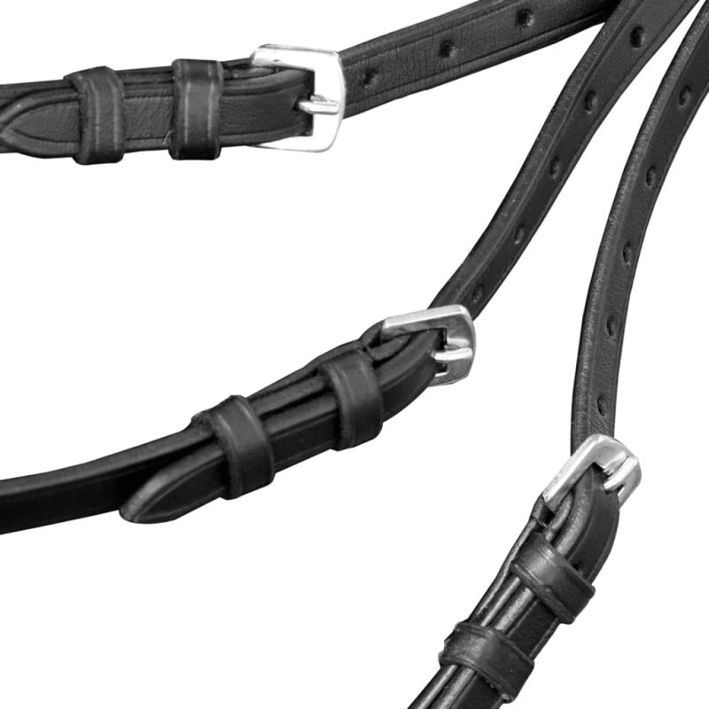 Iemaukti lieliem zirgiem ar grožiem un laužņiem, melni