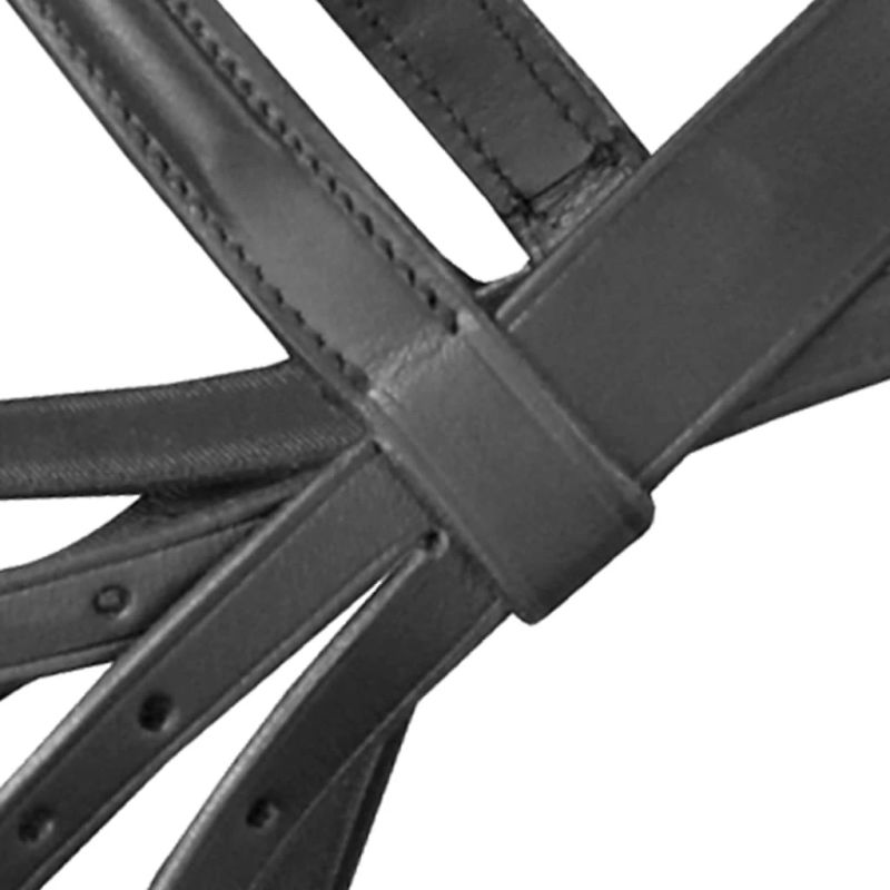 Iemaukti lieliem zirgiem ar grožiem un laužņiem, melni