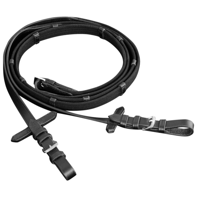 Iemaukti lieliem zirgiem ar grožiem un laužņiem, melni