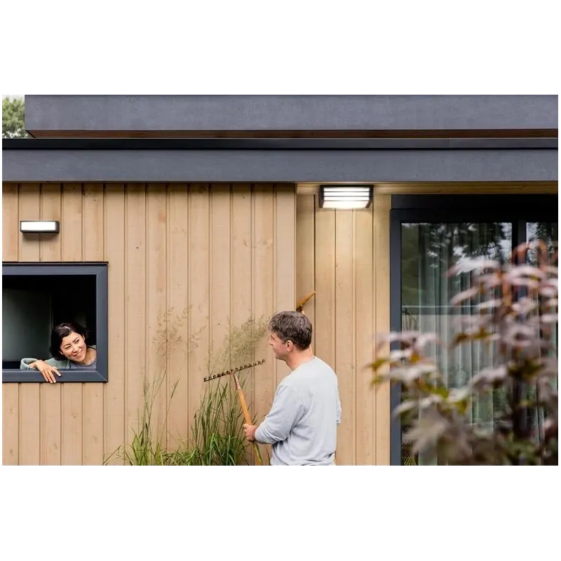 Āra griestu lampa Philips Moonshine, 14W, E27, IP44, pelēka krās., 26 cm x 8.1 cm