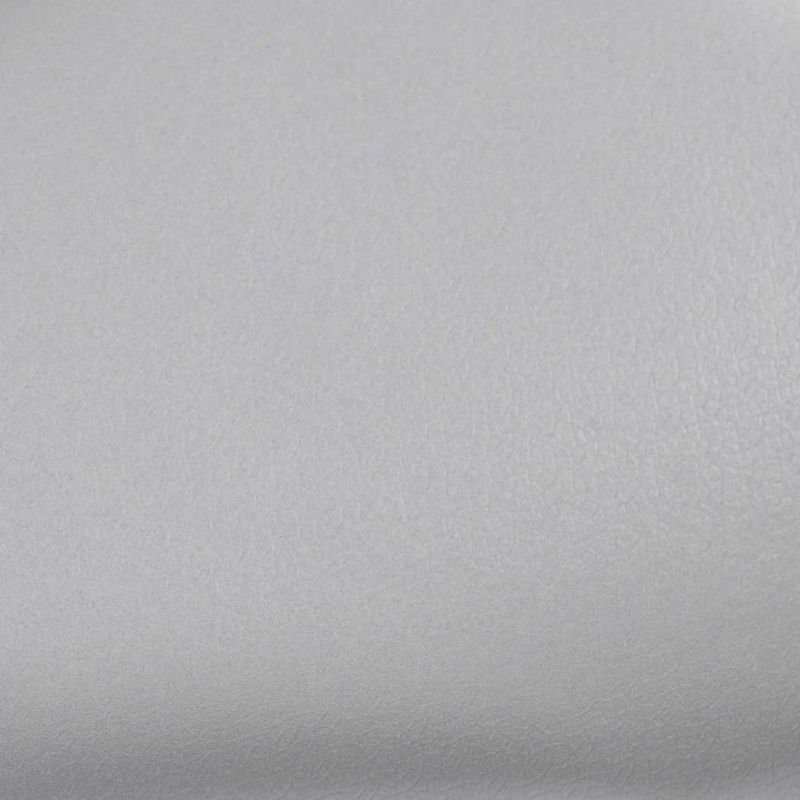 vidaXL automašīnu plēve, matēta, sudrabaina, 100x150 cm