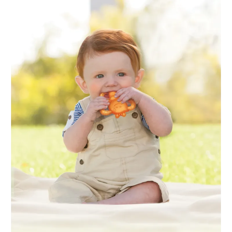 INFANTINO Atvēsinošana smaganu rotaļlieta, Dārza iemītnieki, 2gb