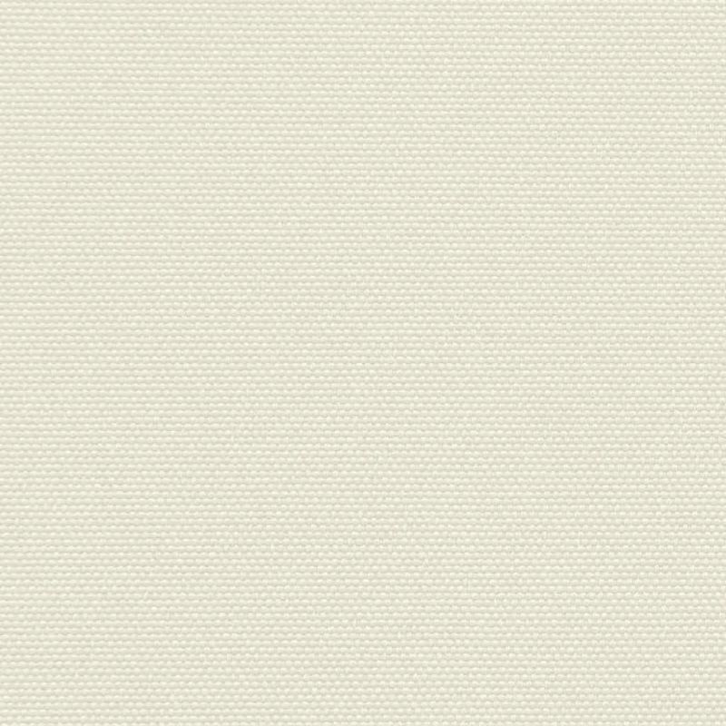 vidaXL izvelkama sānu markīze, krēmkrāsas, 100x300 cm