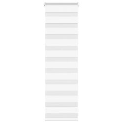 vidaXL žalūzijas zebra 50x100 cm auduma platums 45,9 cm poliesters