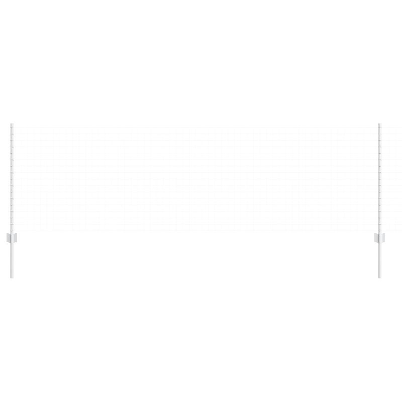 vidaXL Žoga āķis 11 pcs Sudraba 100 cm Tērauds