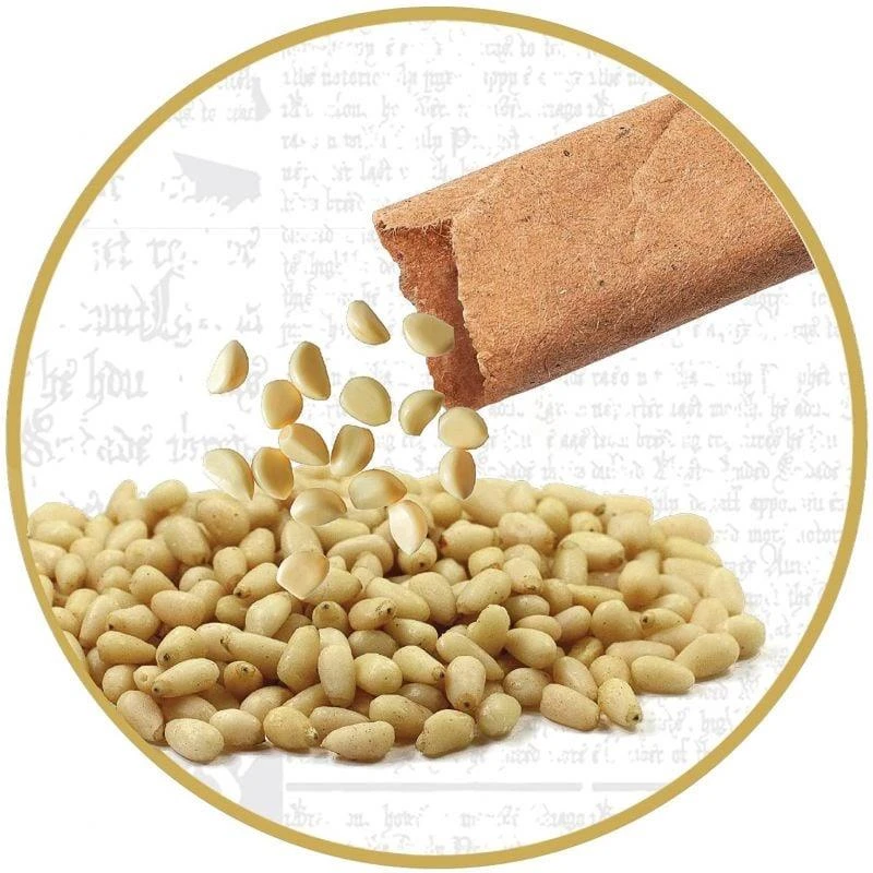 Kūrybos rinkinys Harry Potter Hagrids Hut Terrarium