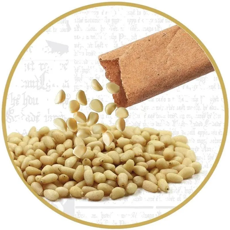 Radošais komplekts Clementoni Harry Potter Hagrids Hut Terrarium, daudzkrāsaina