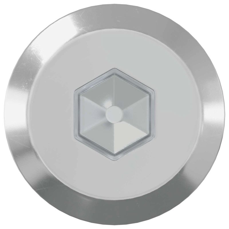 vidaXL Mēbeļu skrūves 2 pcs Sudraba M6 x 70 mm Tērauds