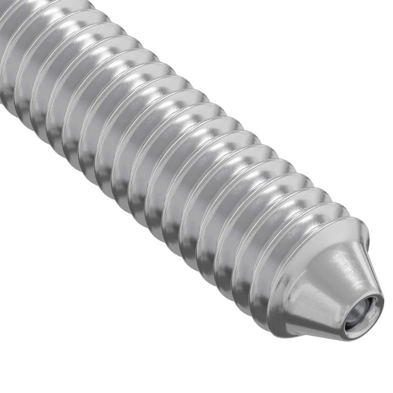 vidaXL Skrūve 2 pcs Sudraba M6 x 120 mm Tērauds