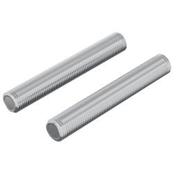 vidaXL Vītņu stienis 2 pcs Sudraba 8 x 55 mm Tērauds