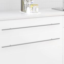 vidaXL Skapja rokturis 2 pcs Sudraba 800 mm Nerūsējošs tērauds