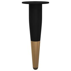 vidaXL Mēbeļu kājas 2 pcs Melns un zelts DIA 40 x 98 mm Dzelzs