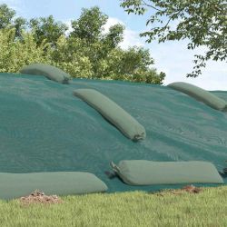 vidaXL Silos pārsegs Zaļa 10 x 5 m HDPE