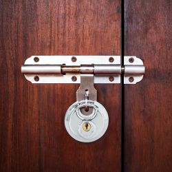 vidaXL Discus Lock ar atslēgām 2 pcs Sudraba 6 x 2.3 x 6 cm