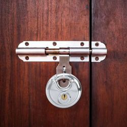 vidaXL Discus Lock ar atslēgām 6 pcs Sudraba 8 x 2.8 x 8 cm