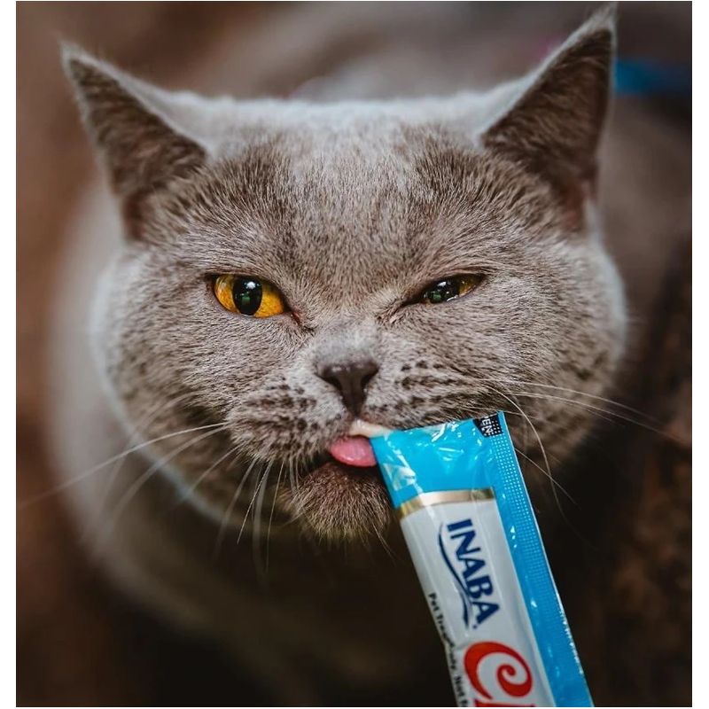 Kārumi kaķiem Inaba Churu Cat Tuna Scallop