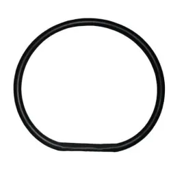 Gumijas blīvslēgs AMG SRL 502OR43620