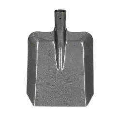 Liekšķere bez kāta okko