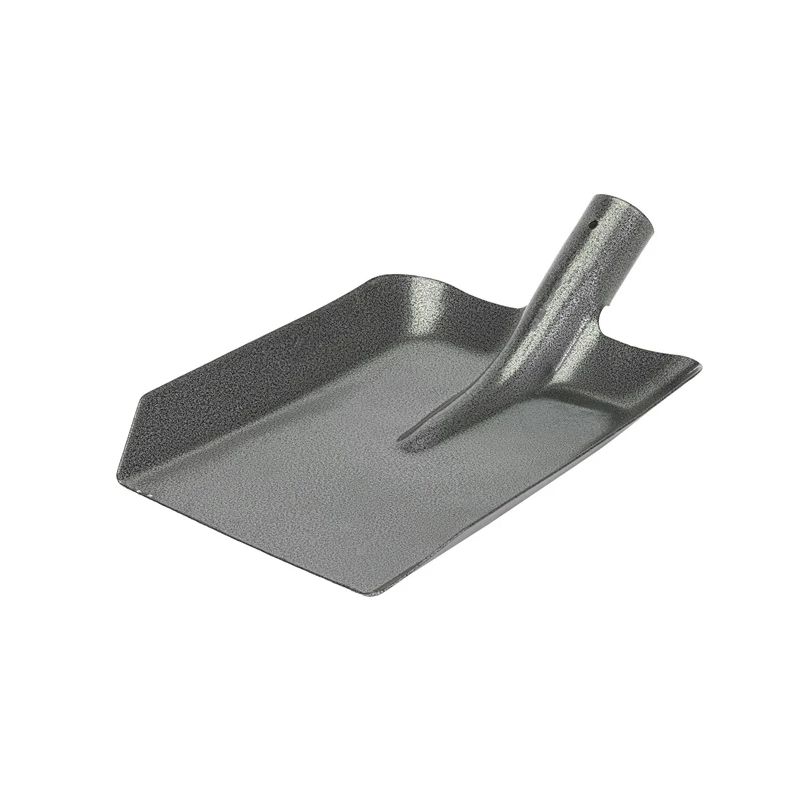 Liekšķere bez kāta okko