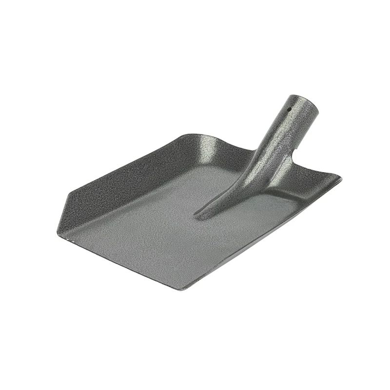 Liekšķere bez kāta okko