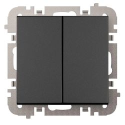 Double pole switch black