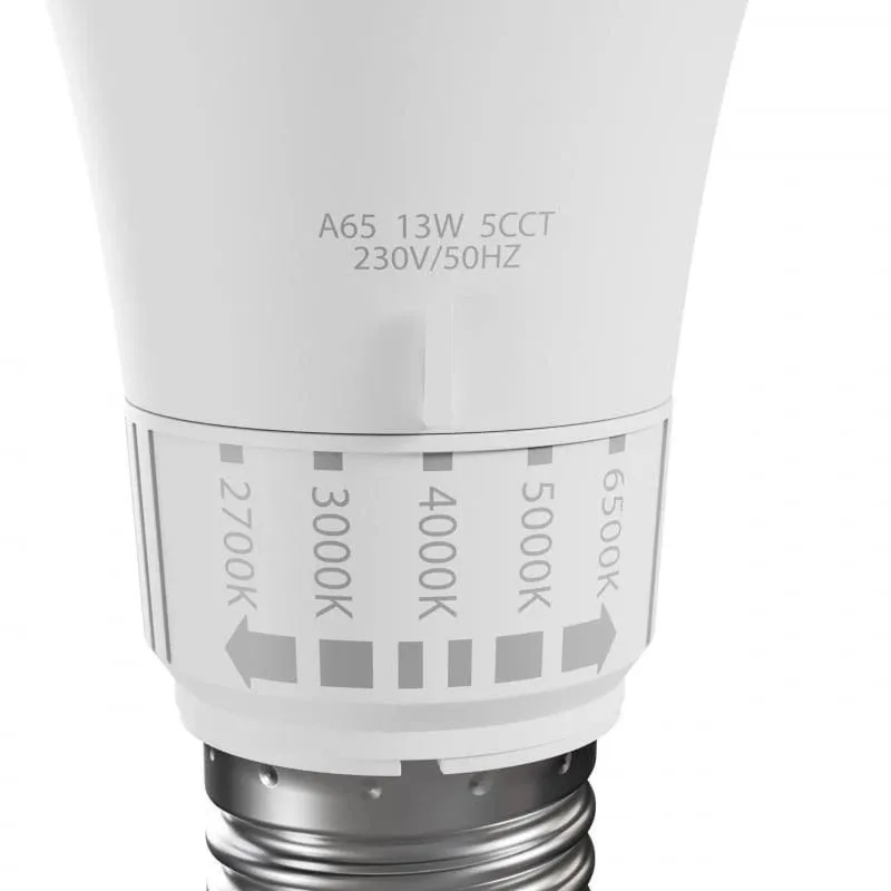 Lemputė Spectrum LED, A65, šaltai balta-neutrali balta-šiltai balta sp., E27, 13 W, 1500 lm