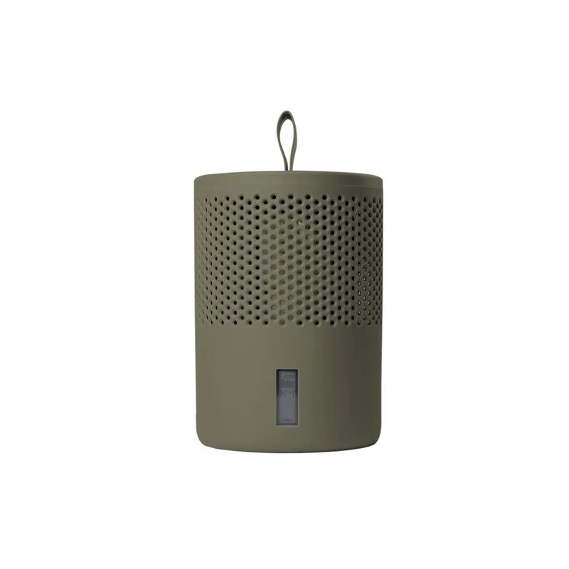 Mitruma uzsūcējs Absodry Green. 25 m². 1000 g