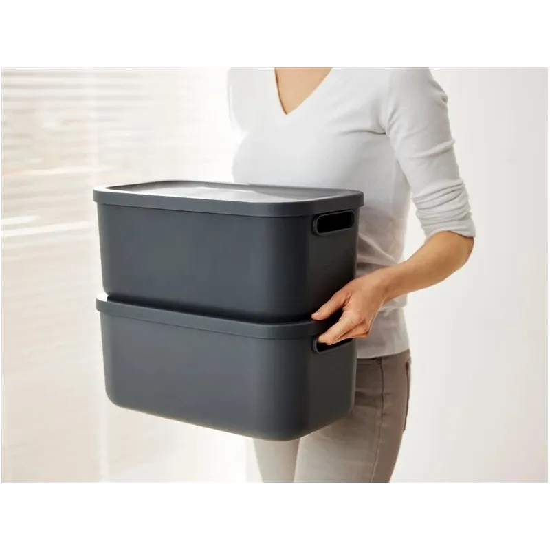 Kaanega hoiukarp Rotho Albula, 12 l, antratsiit v., 39.5 x 23.5 x 17.7 cm