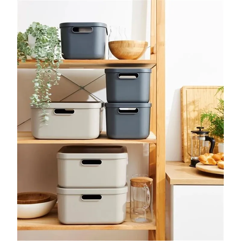 Kaanega hoiukarp Rotho Albula, 12 l, antratsiit v., 39.5 x 23.5 x 17.7 cm