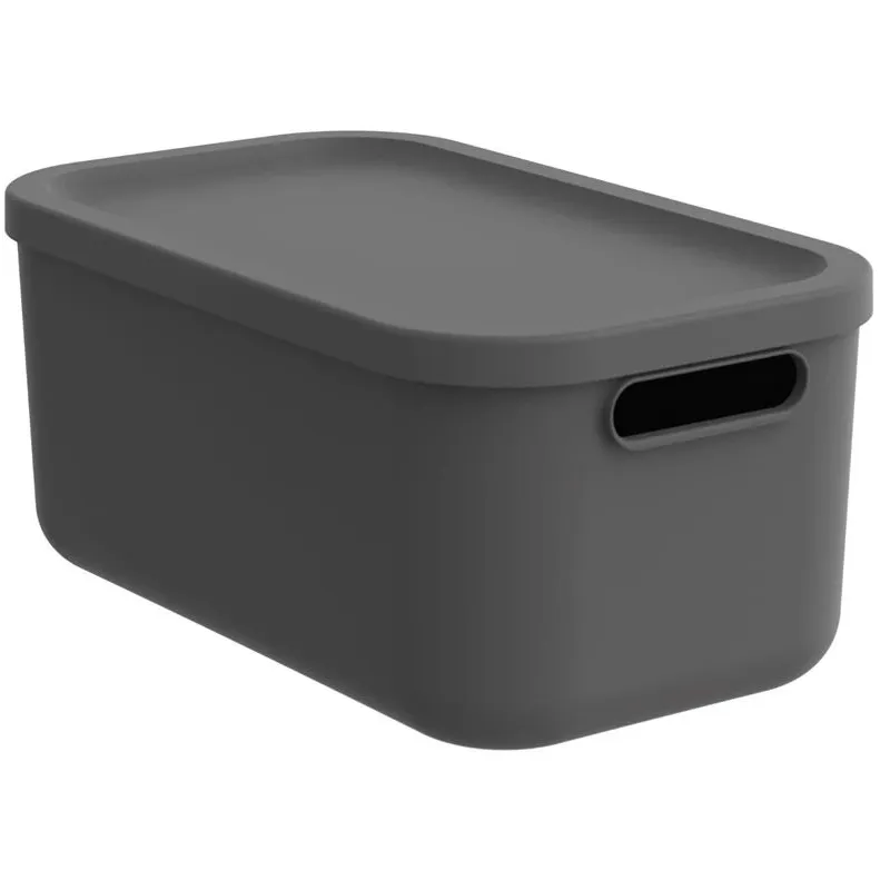 Kaanega hoiukarp Rotho Albula, 12 l, antratsiit v., 39.5 x 23.5 x 17.7 cm