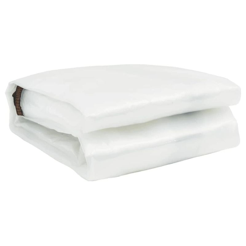 vidaXL Caurspīdīgs Brezents ar cilpām 6x8 m Polietilēns