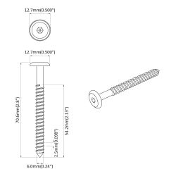 vidaXL Koka skrūves 12 pcs Sudraba M6 x 70 mm Tērauds