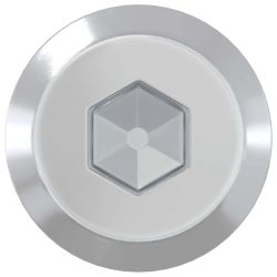 vidaXL Mēbeļu skrūves 2 pcs Sudraba M6 x 100 mm Tērauds