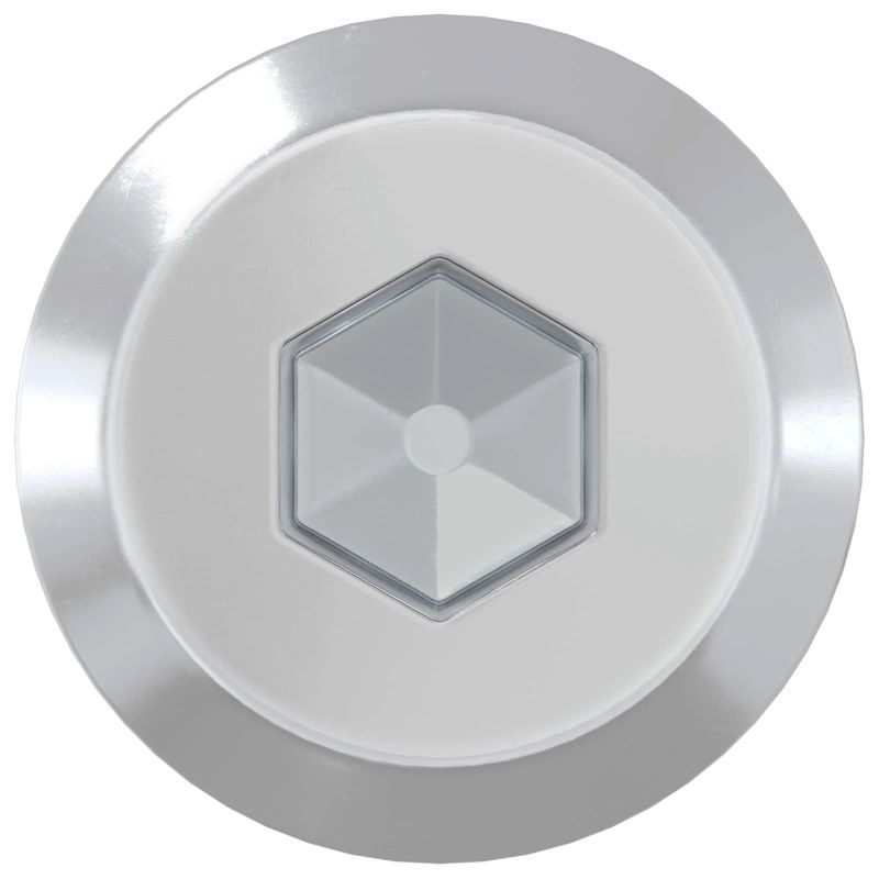 vidaXL Mēbeļu skrūves 2 pcs Sudraba M6 x 100 mm Tērauds