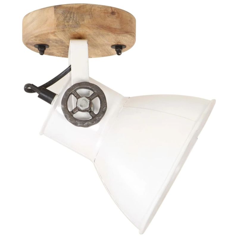 vidaXL sienas-griestu lampas, 2 gab., baltas, 20x25 cm, E27