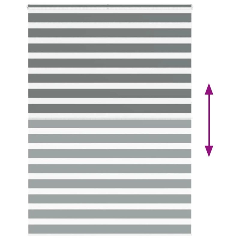 vidaXL žalūzijas zebra 165x230 cm auduma platums 160,9 cm poliesters