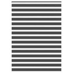 vidaXL žalūzijas zebra 160x230 cm auduma platums 155,9 cm poliesters