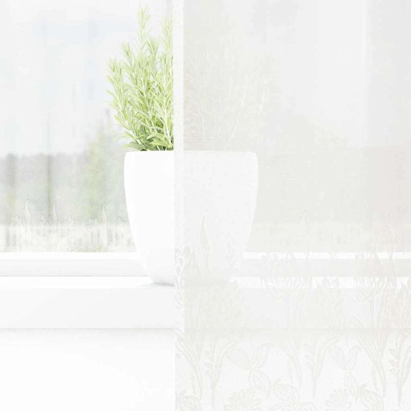 vidaXL Mežģīņu aizkars ar aizkariem Balts 150 x 160 cm Poliesters