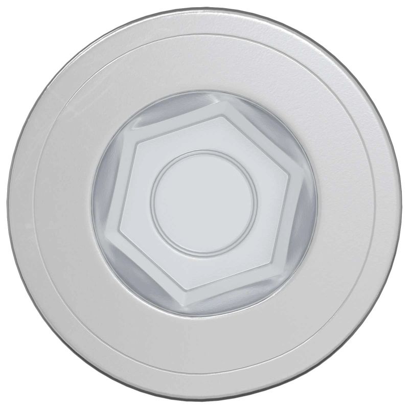 vidaXL Stiprinājumu skrūves 12 pcs Sudraba Metāls