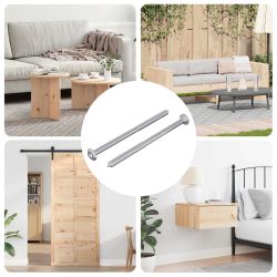 vidaXL Skrūve 2 pcs Sudraba M6 x 100 mm Tērauds