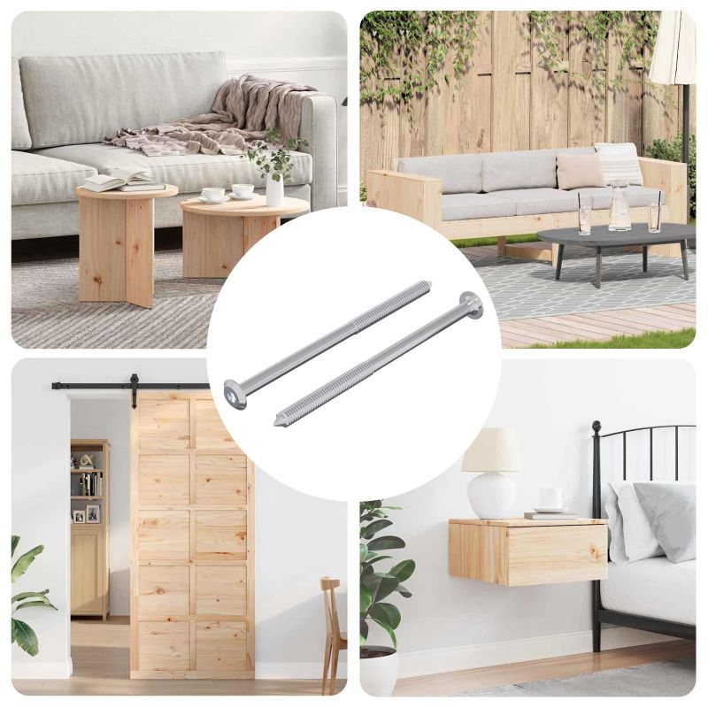 vidaXL Skrūve 2 pcs Sudraba M6 x 100 mm Tērauds