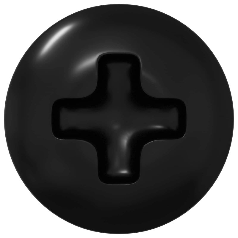 vidaXL Ausu skrūves 12 pcs Melna M4 x 10 mm Dzelzs