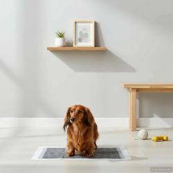 vidaXL Neausta auduma mājdzīvnieku apmācības paklājs 400 pcs