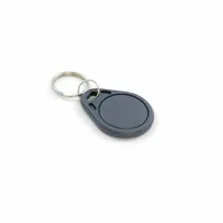 Electronic Key T5577