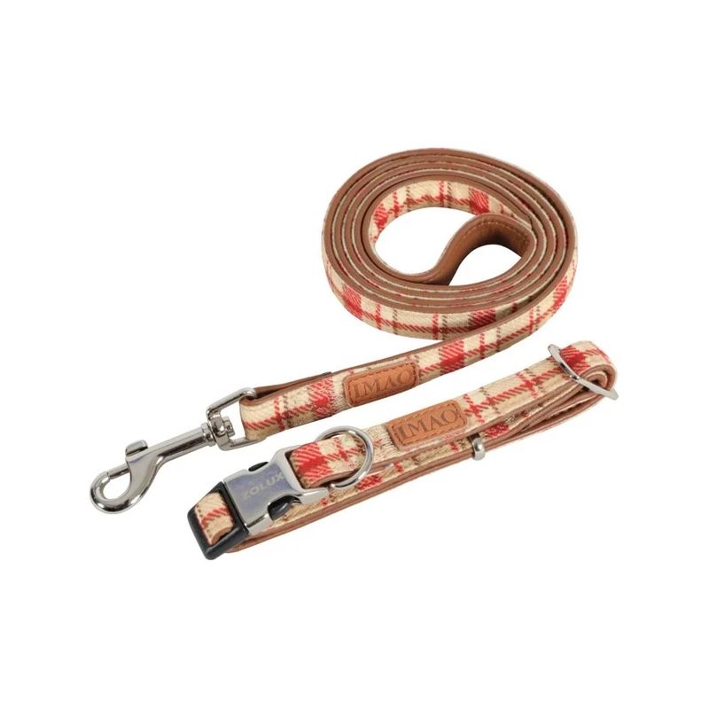 Kakla siksna suņiem scott 15mm sarkana