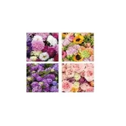 Napkins flowers 33x33cm 20pcs 3layrs
