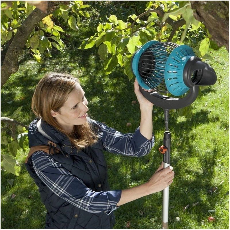 Ābolu savācējs ar koka kātu. 967635201