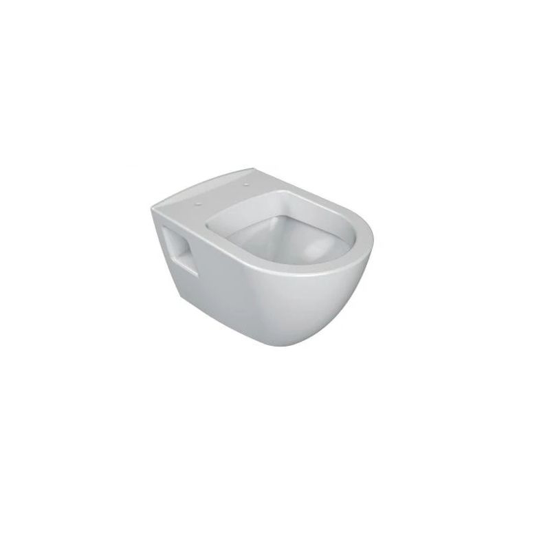 Wall-hung toilet with lid endo