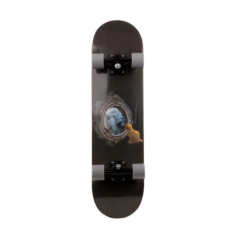 Skrituļdēlis skateboard 3108-4