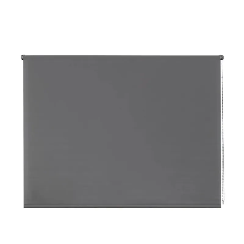 Rullo žalūzijas Domoletti BSC-206, pelēka krās., 180 cm x 190 cm